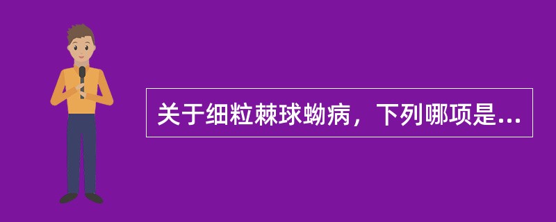 关于细粒棘球蚴病，下列哪项是不对的（）。