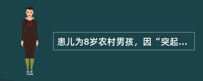 患儿为8岁农村男孩，因“突起高热3天，昏迷、抽搐1天”于本年8月3日入院。现体温