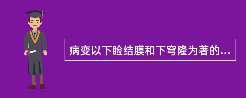 病变以下睑结膜和下穹隆为著的是（）。