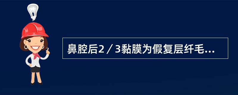 鼻腔后2／3黏膜为假复层纤毛柱状上皮。