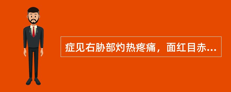 症见右胁部灼热疼痛，面红目赤，口干口苦，心中烦热，大便秘结，舌红苔黄厚，脉弦数。