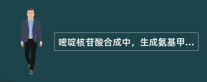 嘧啶核苷酸合成中，生成氨基甲酰磷酸的部位是（）