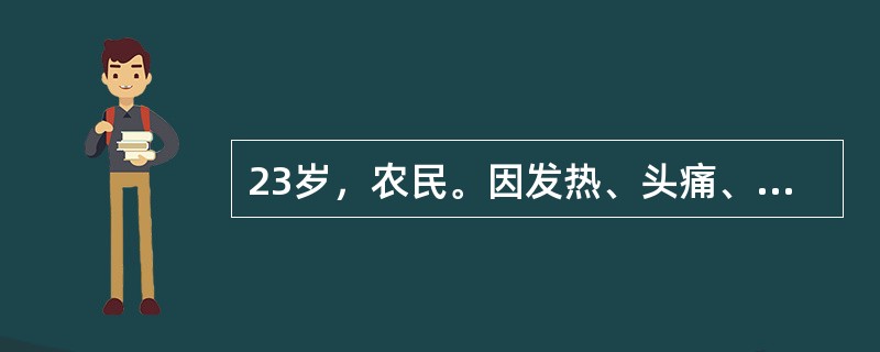 23岁，农民。因发热、头痛、全身酸痛、软弱无力1周于9月4日入院。当天起出现心悸