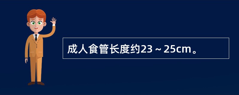 成人食管长度约23～25cm。