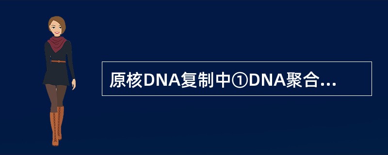 原核DNA复制中①DNA聚合酶Ⅲ；②解旋酶；③DNA聚合酶Ⅰ；④引物酶；⑤DNA