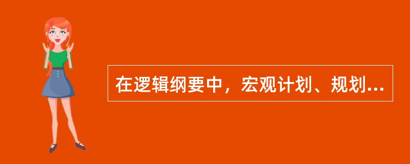 在逻辑纲要中，宏观计划、规划、政策、方针等属于（）层次。