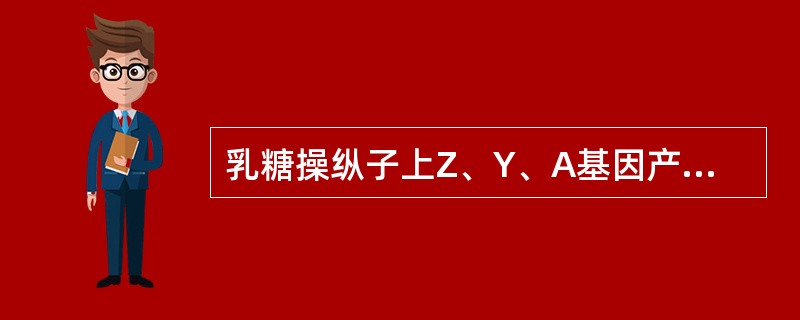 乳糖操纵子上Z、Y、A基因产物分别是（）