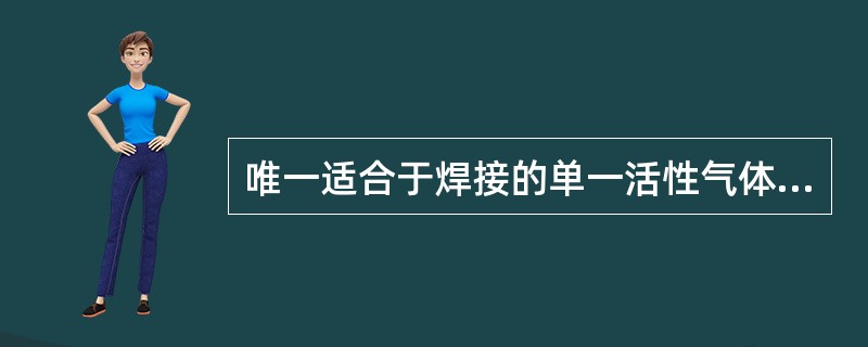 唯一适合于焊接的单一活性气体为()。