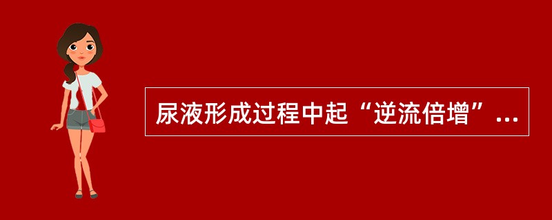 尿液形成过程中起“逆流倍增”作用的是（）