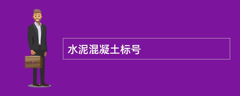 水泥混凝土标号