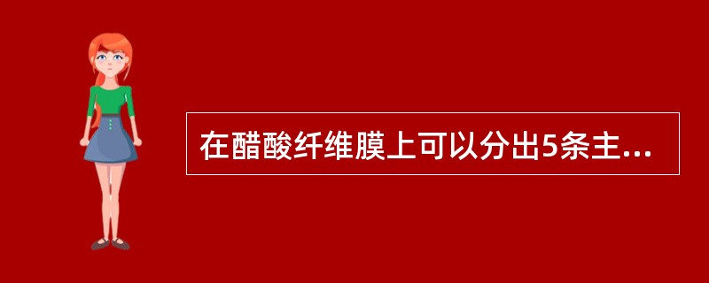 在醋酸纤维膜上可以分出5条主要蛋白质区带，从正极端起顺序为（）