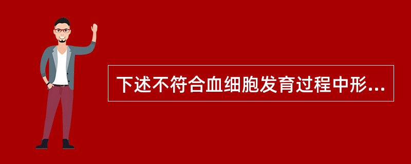 下述不符合血细胞发育过程中形态演变规律的是（）