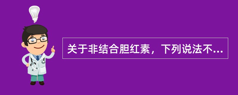 关于非结合胆红素，下列说法不正确的是（）