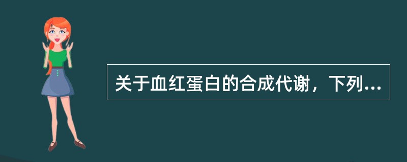 关于血红蛋白的合成代谢，下列说法正确的是（）