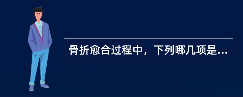 骨折愈合过程中，下列哪几项是错误的（）