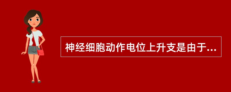 神经细胞动作电位上升支是由于（）
