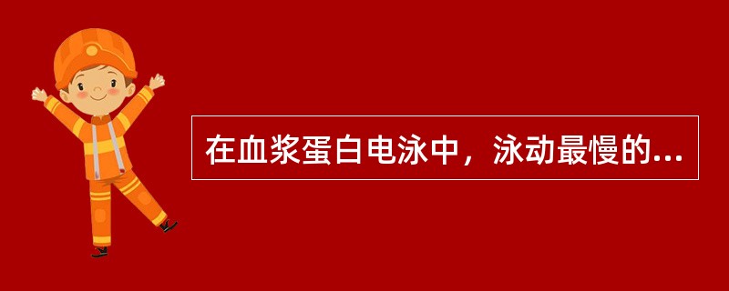 在血浆蛋白电泳中，泳动最慢的蛋白质是（）