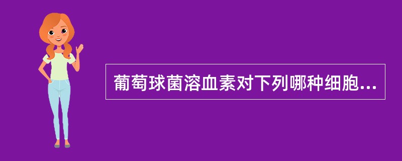 葡萄球菌溶血素对下列哪种细胞损伤作用最强（）