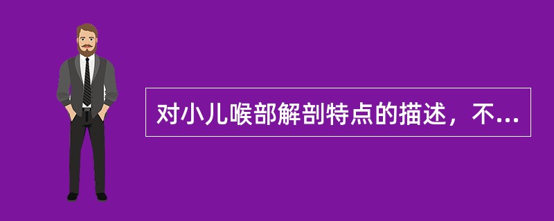 对小儿喉部解剖特点的描述，不正确的是（）。