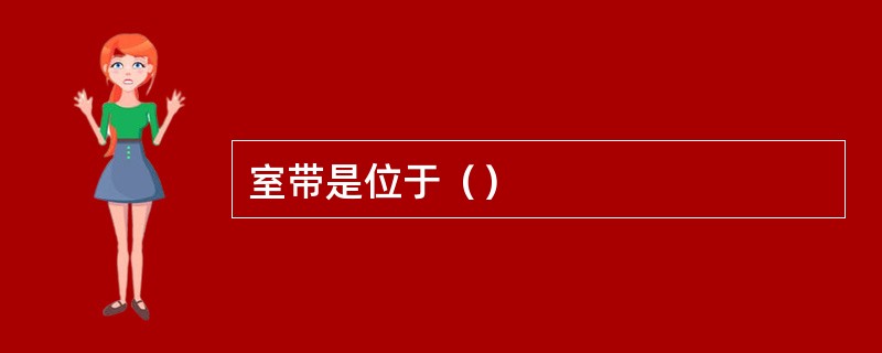 室带是位于（）