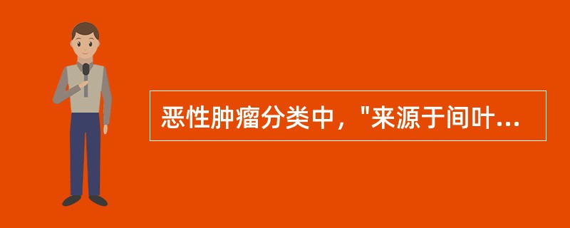 恶性肿瘤分类中，"来源于间叶组织的恶性肿瘤"属于（）。