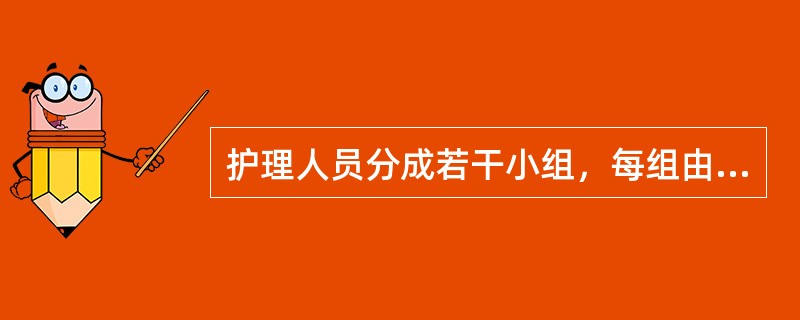 护理人员分成若干小组，每组由一位管理能力和业务能力较强的护士任组长，一组护士为一