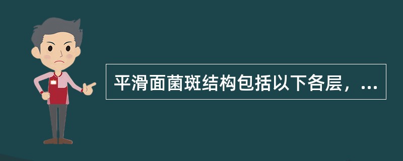 平滑面菌斑结构包括以下各层，除外A、菌斑牙界面层B、稠密微生物层C、菌斑体部D、