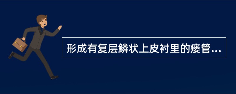 形成有复层鳞状上皮衬里的瘘管见于A、急性浆液性根尖周炎B、急性化脓性根尖周炎C、