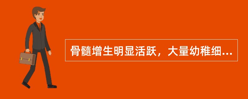 骨髓增生明显活跃，大量幼稚细胞中有柴捆样AuEr小体，Pox染色强阳性CD34£