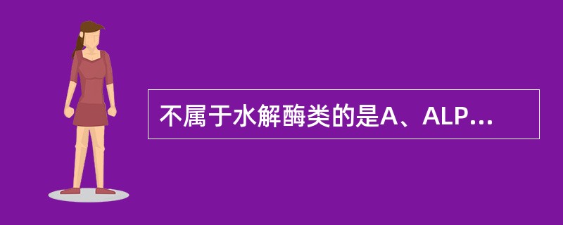 不属于水解酶类的是A、ALPB、LPLC、AMYD、PchEE、AST