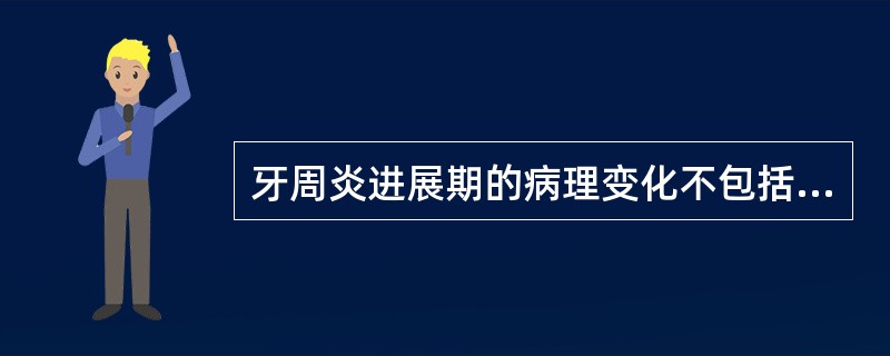 牙周炎进展期的病理变化不包括A、牙周袋内大量炎性渗出物B、沟内上皮糜烂、溃疡C、