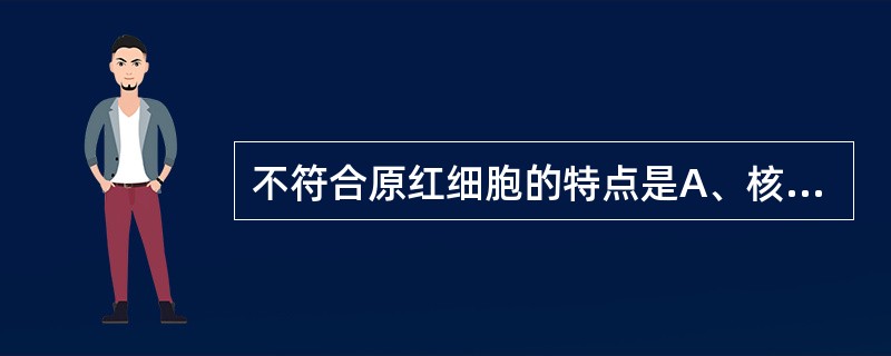 不符合原红细胞的特点是A、核仁3个以上者少见B、核仁较大，界限不清C、染色质呈粗