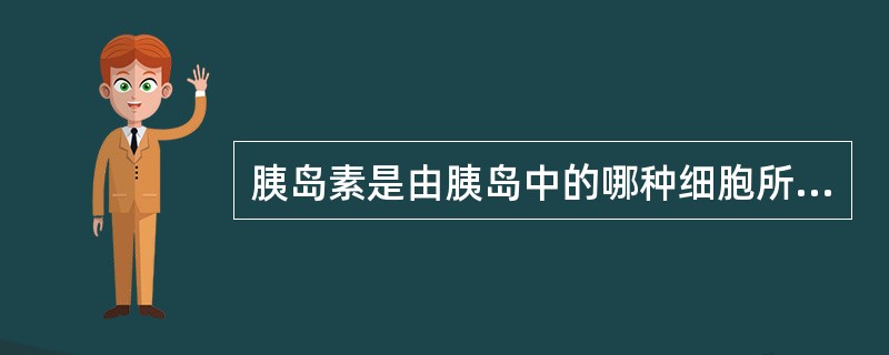 胰岛素是由胰岛中的哪种细胞所产生A、α细胞B、β细胞C、γ细胞D、δ细胞E、ε细