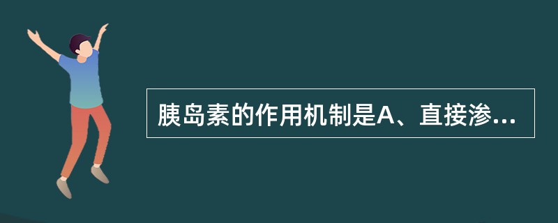 胰岛素的作用机制是A、直接渗透到细胞内对糖代谢发挥作用B、直接渗透到细胞内与蛋白