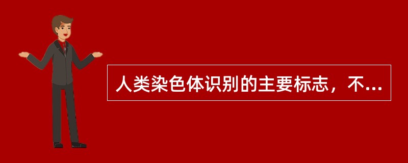 人类染色体识别的主要标志，不包括A、染色体相对长度B、臂率C、着丝粒指数D、随体