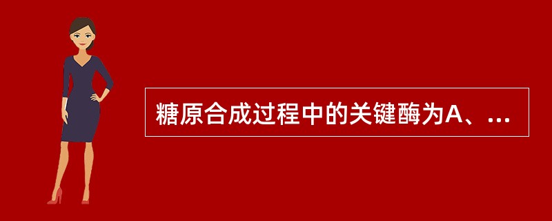 糖原合成过程中的关键酶为A、己糖激酶B、丙酮酸脱氢酶C、葡萄糖£6£磷酸酶D 糖原合成过程中的关键酶为A、己糖激酶B、丙酮酸脱氢酶C、葡萄糖£6£磷酸酶D