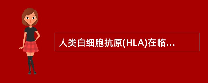 人类白细胞抗原(HLA)在临床上一般不用于（）A、器官移植B、亲子鉴定C、输血