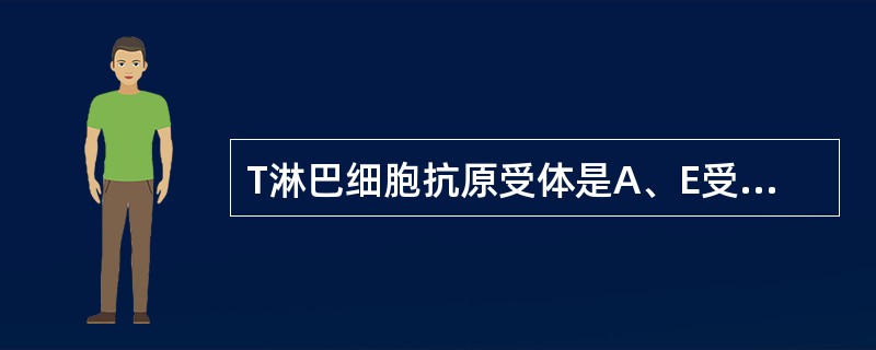 T淋巴细胞抗原受体是A、E受体B、FC受体C、TCRD、BCRE、CDR