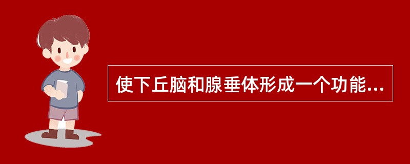 使下丘脑和腺垂体形成一个功能整体的结构是A、垂体门脉系统B、垂体上、下动脉C、下