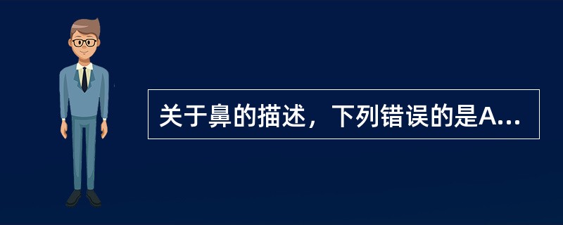 关于鼻的描述，下列错误的是A、鼻孔由鼻翼和鼻柱围成B、鼻翼位于鼻腔两侧C、鼻是由