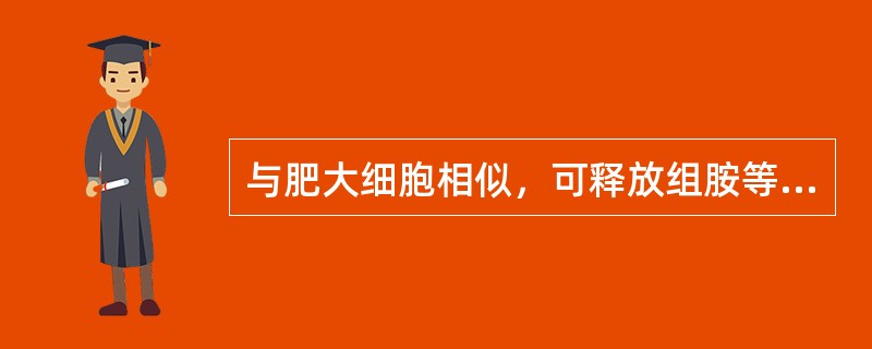 与肥大细胞相似，可释放组胺等活性物质参与超敏反应的是