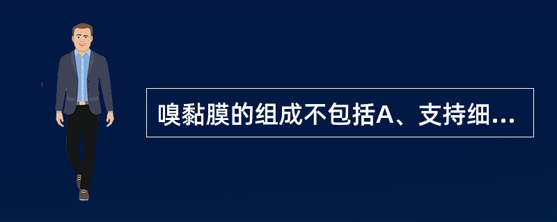 嗅黏膜的组成不包括A、支持细胞B、基细胞C、嗅细胞D、嗅腺E、杯状细胞