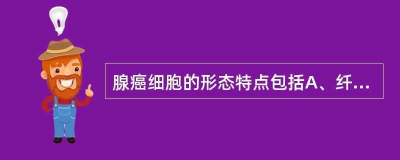 腺癌细胞的形态特点包括A、纤维型癌细胞B、核异型，核仁大C、固缩核D、胞浆粉染，