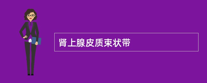 肾上腺皮质束状带