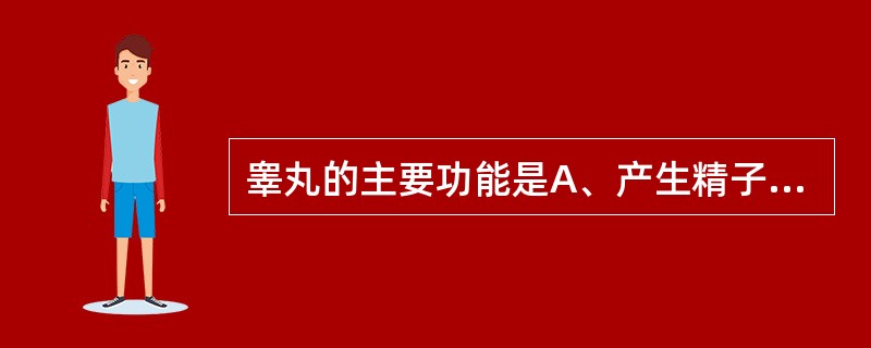 睾丸的主要功能是A、产生精子和分泌雄激素B、产生、贮存和运输精子C、产生精子D、