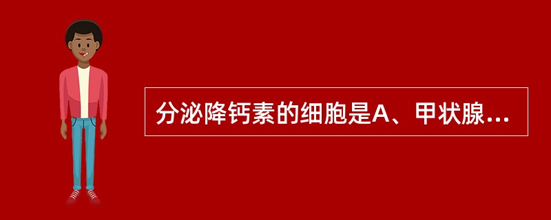 分泌降钙素的细胞是A、甲状腺滤泡上皮细胞B、甲状腺滤泡旁细胞C、甲状旁腺主细胞D