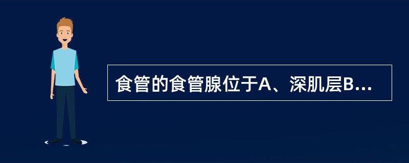 食管的食管腺位于A、深肌层B、黏膜下层C、肌层D、外膜E、肌层与外膜