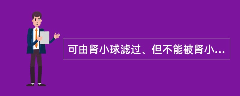 可由肾小球滤过、但不能被肾小管重吸收和分泌的物质可用于测定