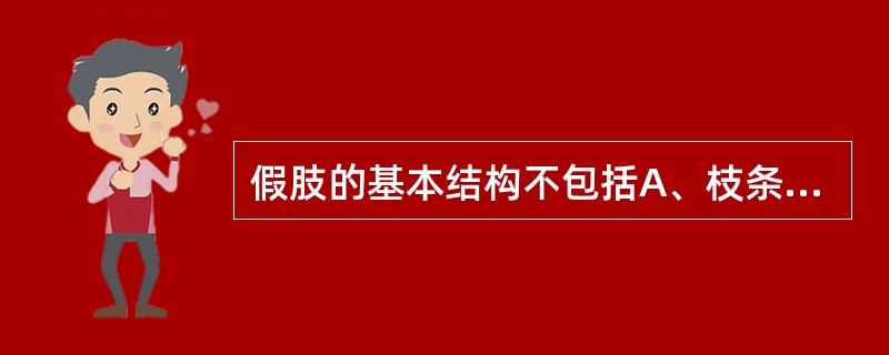 假肢的基本结构不包括A、枝条B、外套C、接受腔D、悬吊装置E、支撑构件