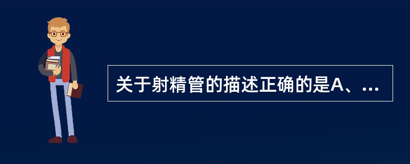 关于射精管的描述正确的是A、由前列腺排泄管和精囊腺排泄管汇合而成B、位于膀胱上面